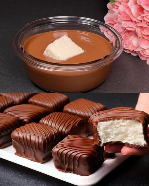No-Bake Chocolate and Coconut Dessert: Easy, Creamy and Delicious oq1zuhr